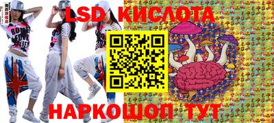 стаф Кунгур